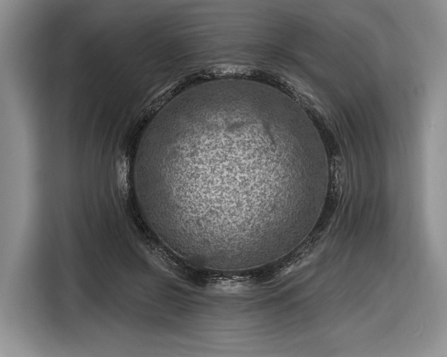 X0000116610550200912181208