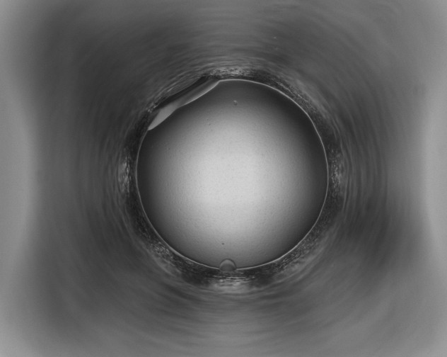 X0000116610551200912181208