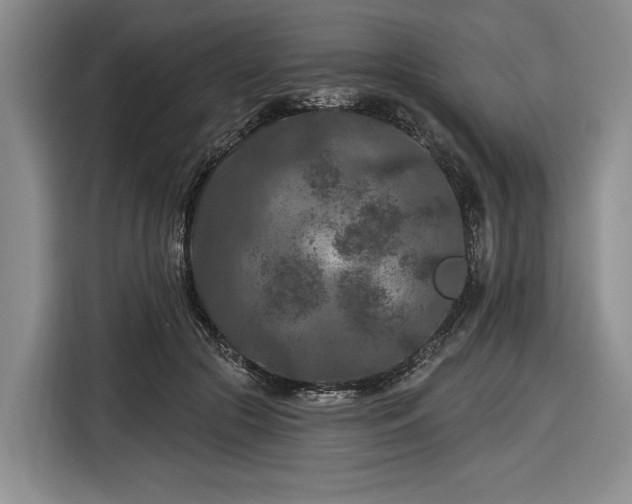 X0000116610553200912181208