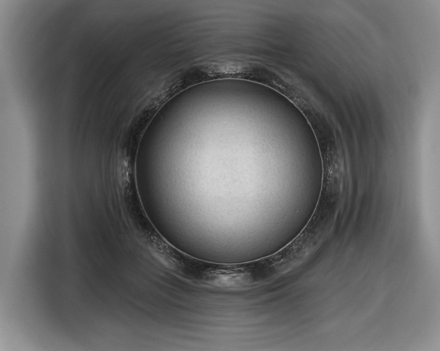 X0000116610555200912181208