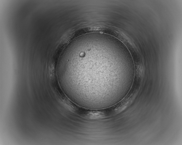 X0000116610557200912181208