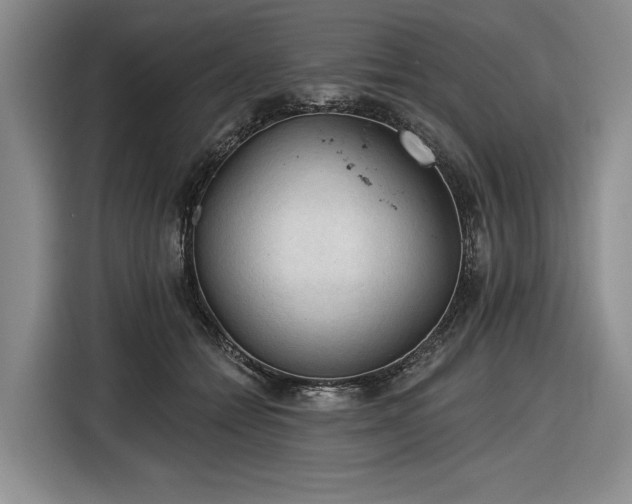 X0000116610558200912181208