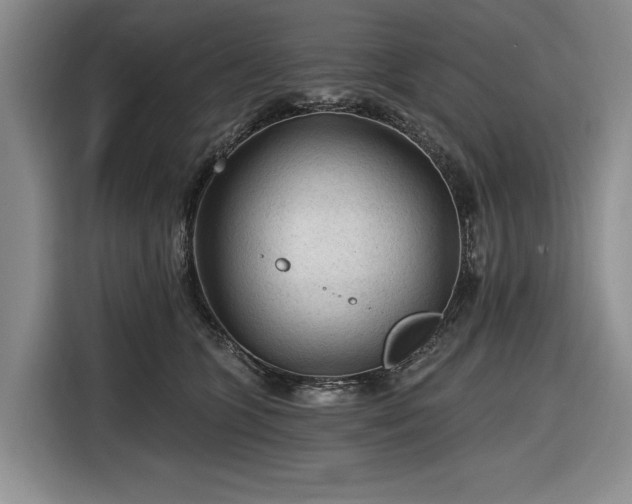 X0000116610563200912181208