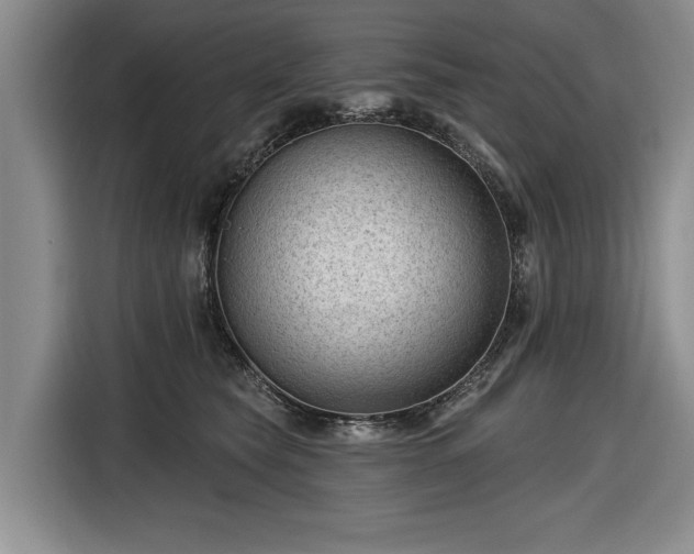 X0000116610565200912181208