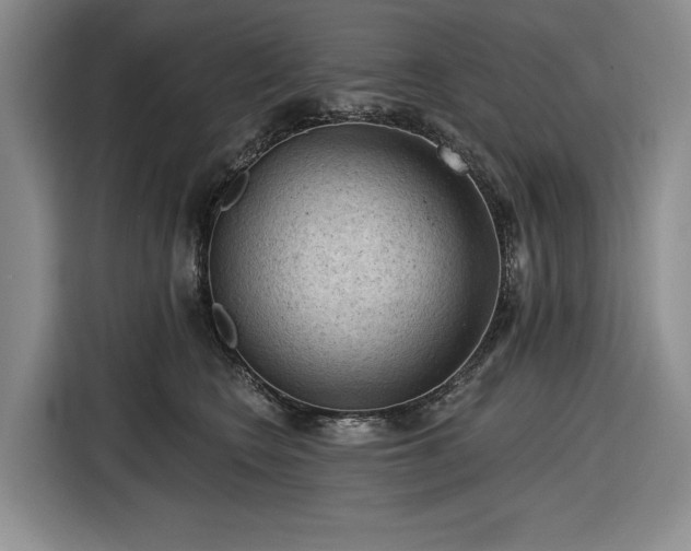 X0000116610566200912181208