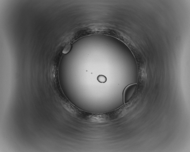 X0000116610567200912181208