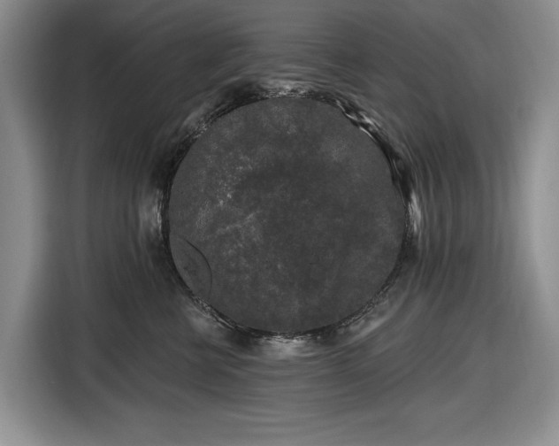 X0000116610570200912181208