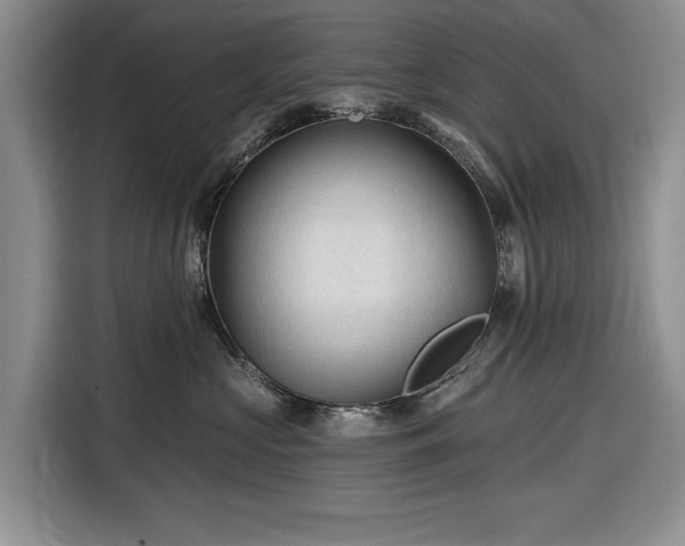 X0000116610573200912181209