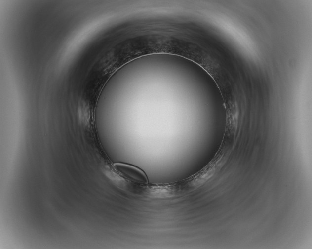 X0000116610574200912181209