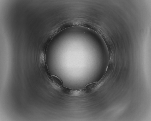 X0000116610575200912181209