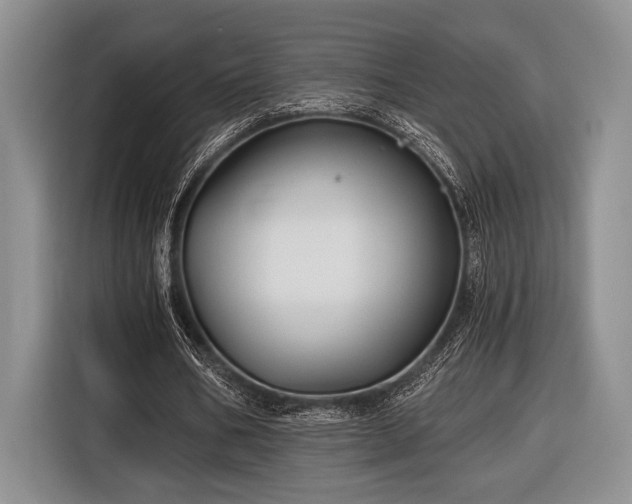 X0000116610578200912181208