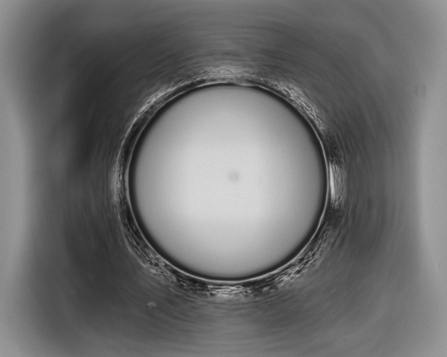 X0000116610579200912181208