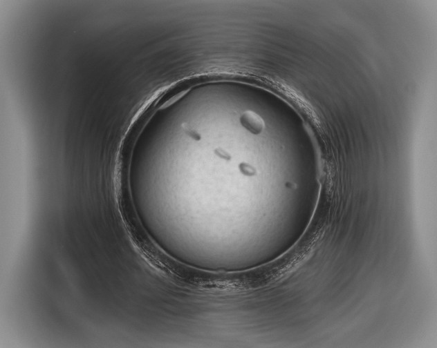 X0000116610580200912181208