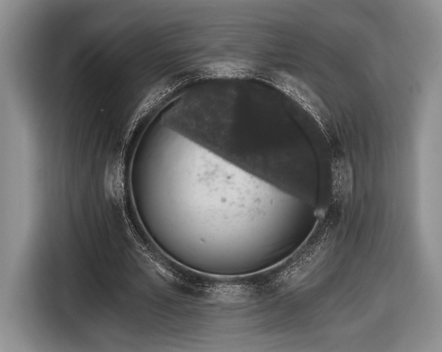 X0000116610581200912181208