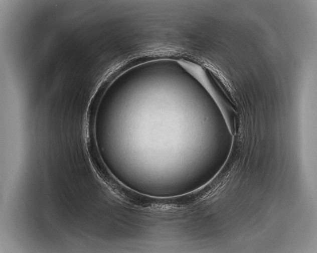 X0000116610582200912181208