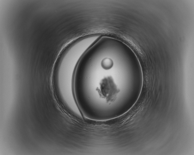 X0000116610583200912181208