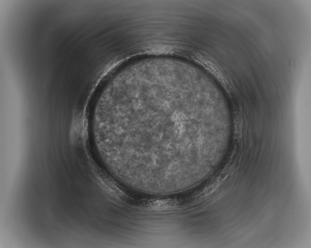 X0000116610584200912181208