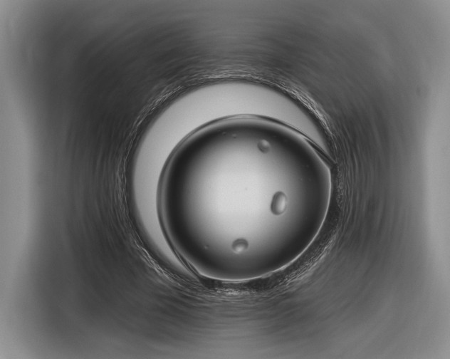 X0000116610585200912181208