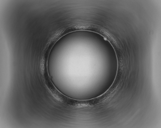 X0000116610586200912181208