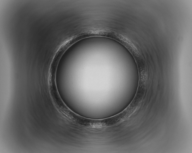 X0000116610587200912181208