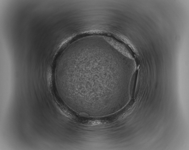 X0000116610588200912181208