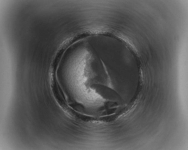 X0000116610590200912181208