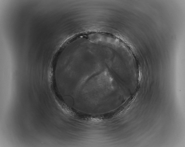 X0000116610592200912181208