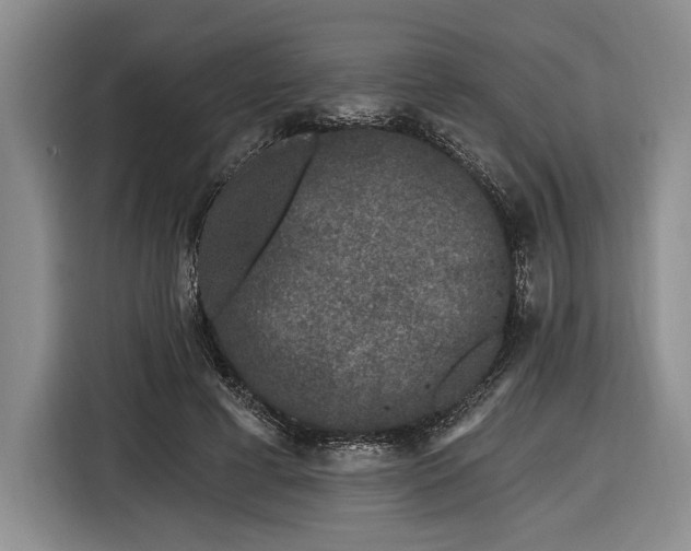 X0000116610593200912181208