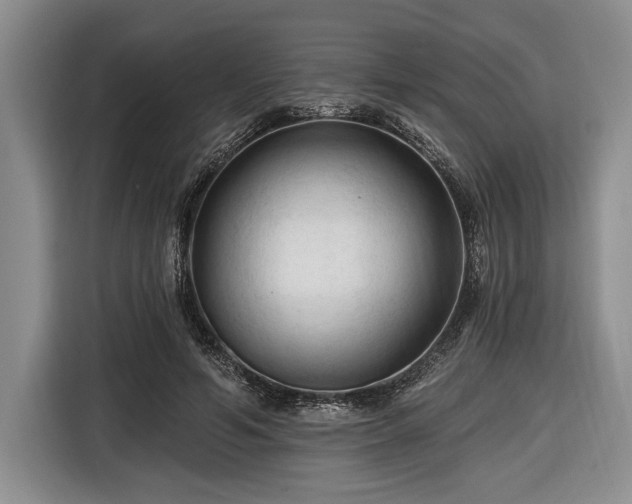 X0000116610594200912181208