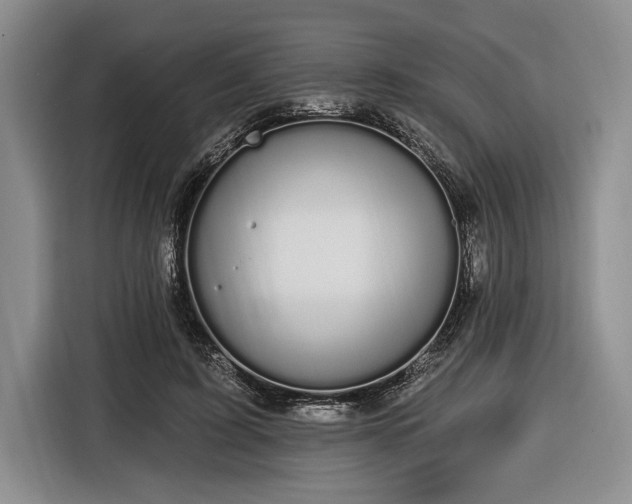 X0000116610595200912181208