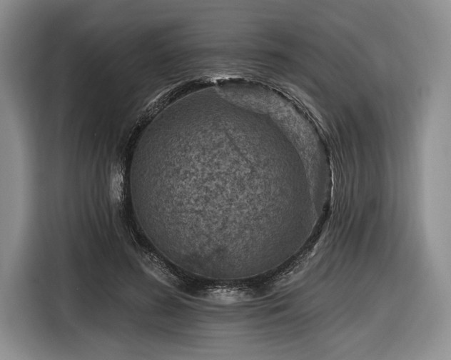 X0000116610596200912181208