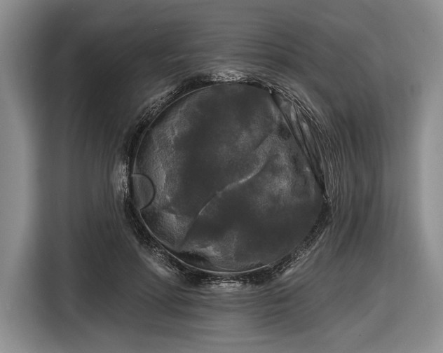 X0000116610598200912181208