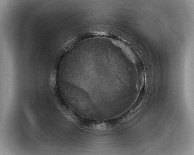 X0000116610600200912181208