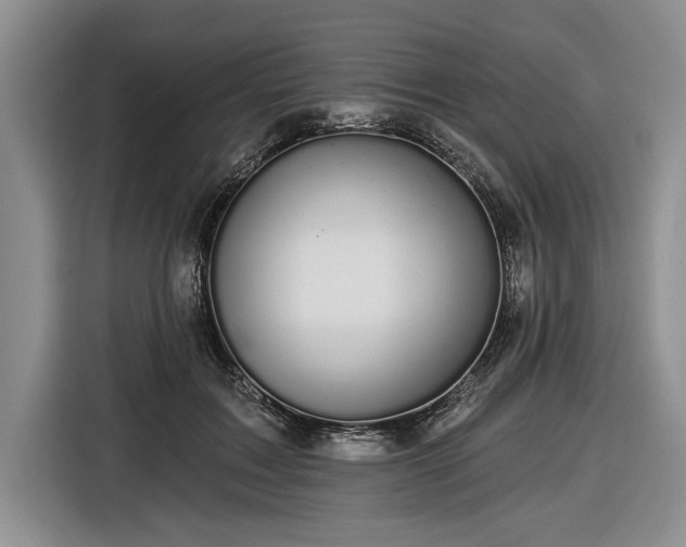 X0000116610603200912181208