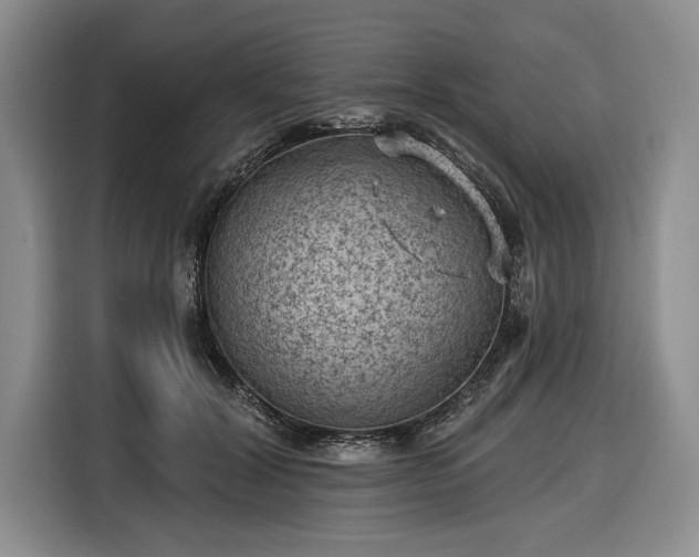 X0000116610604200912181208