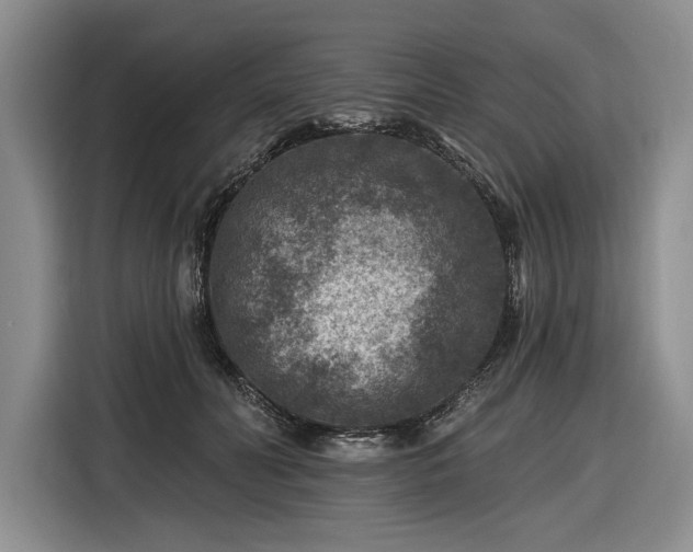 X0000116610606200912181208