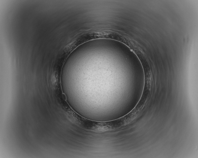 X0000116610608200912181208