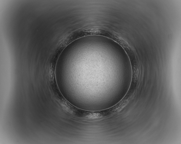 X0000116610609200912181208