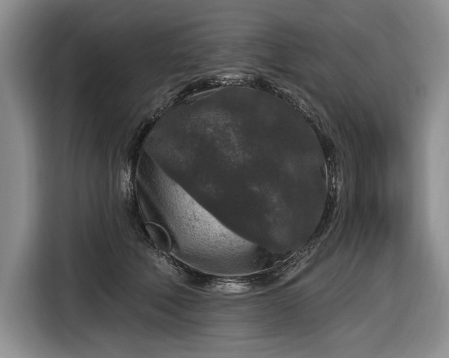 X0000116610610200912181208