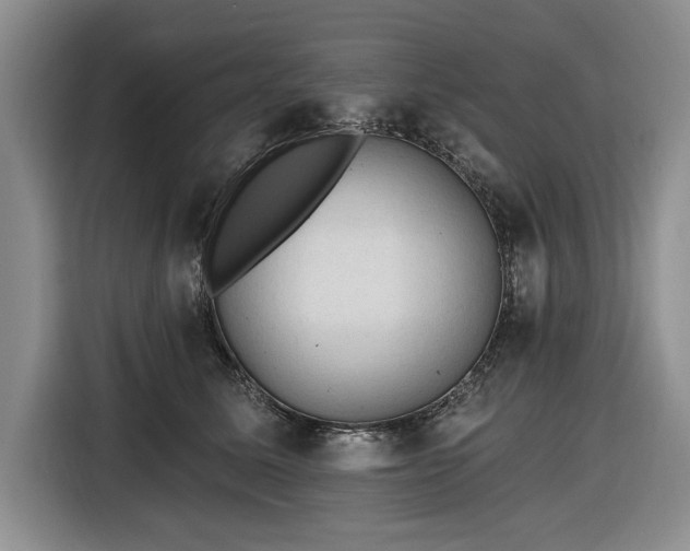 X0000116610611200912181207