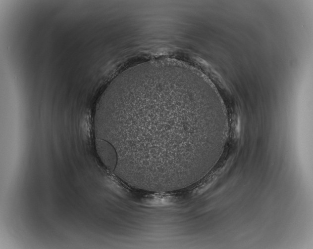 X0000116610612200912181207