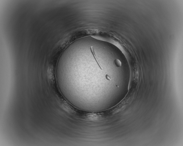 X0000116610616200912181207