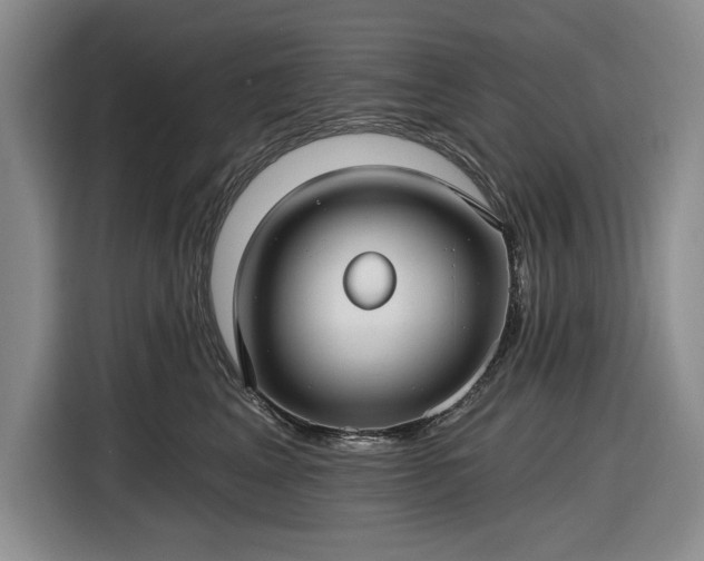 X0000116610617200912181207