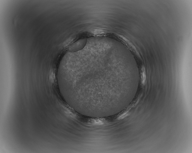 X0000116610618200912181207