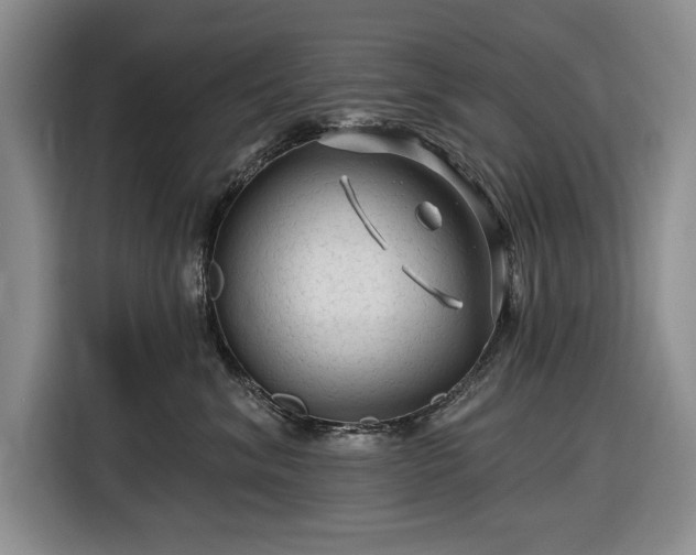 X0000116610620200912181207