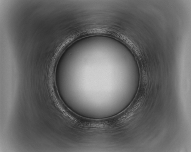 X0000116610625200912181207