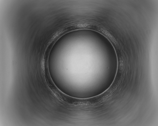 X0000116610626200912181207