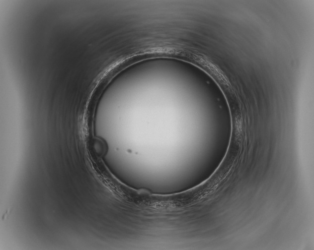 X0000116610628200912181207