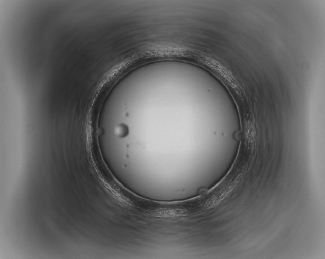 X0000116610629200912181207