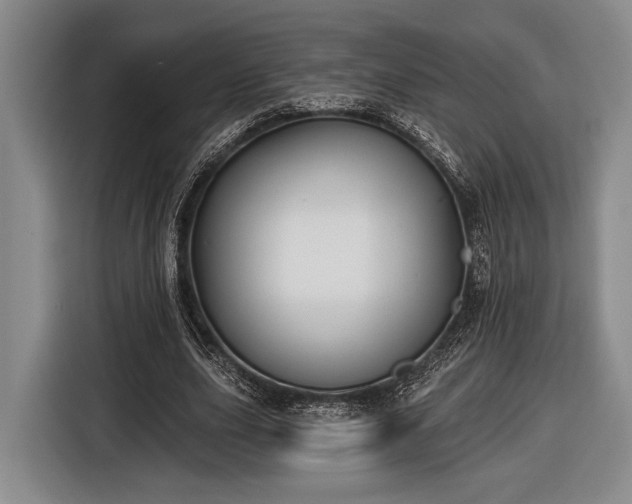 X0000116610631200912181207